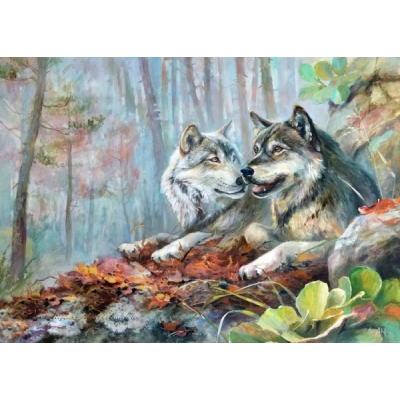 Schilderen op nummer 40x30cm ( met frame): wolven
